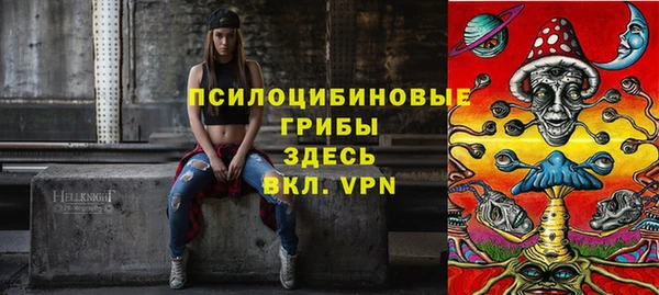 ешки Елабуга