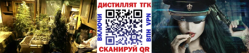 ТГК Wax  Сокол 