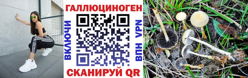 Галлюциногенные грибы прущие грибы  блэк спрут tor  Сокол 